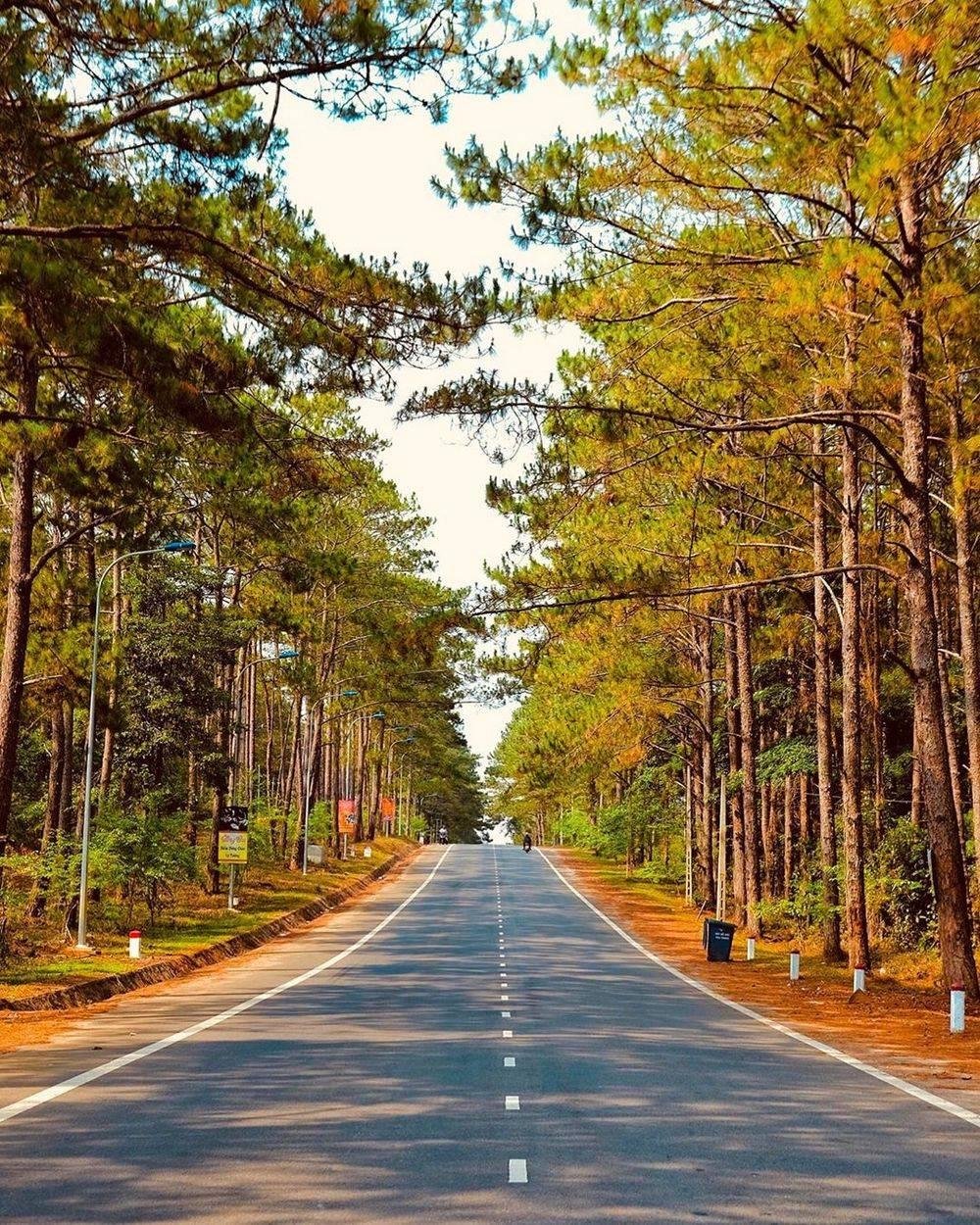 Măng Đen — Đà Lạt của Kon Tum